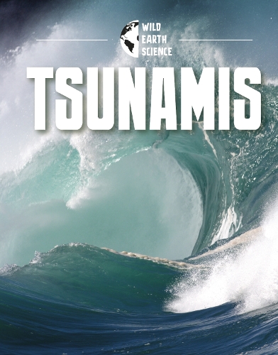 Бумажная книга «Tsunamis», автор Исаак Керри - фото №1