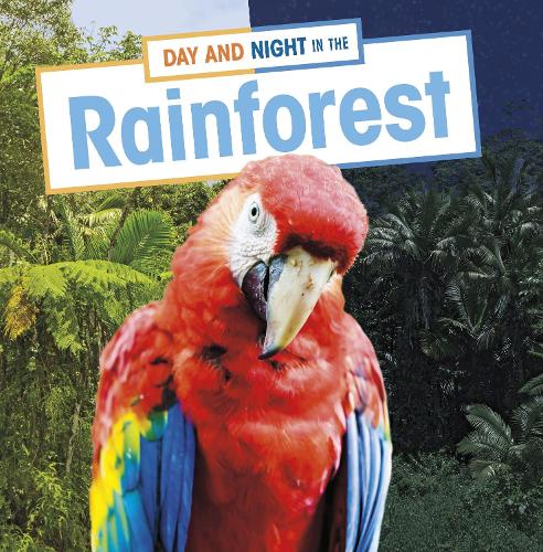 Паперова книга «Day and Night in the Rainforest», автор Еллен Лабрек - фото №1