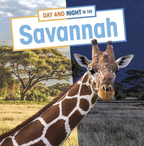 Паперова книга «Day and Night in the Savannah», автор Мері Бун - фото №1