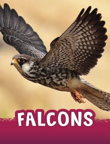 [object Object] «Falcons», автор Жаклін Джейкокс - фото №1