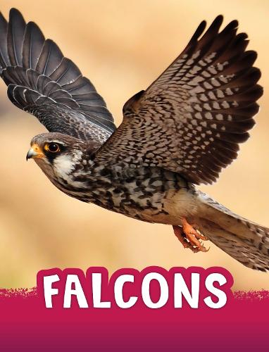 Паперова книга «Falcons», автор Жаклін Джейкокс - фото №1