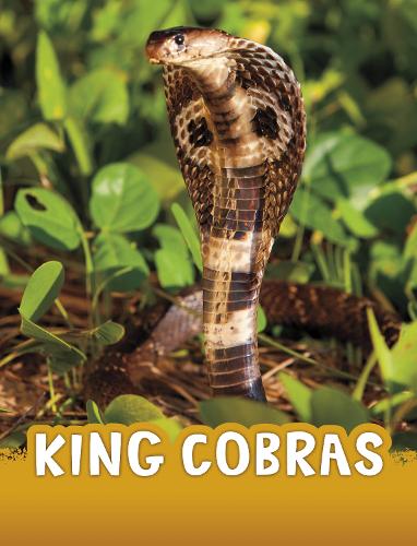 [object Object] «King Cobras», автор Жаклин Джейкокс - фото №1