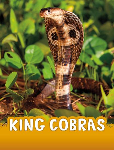 [object Object] «King Cobras», автор Жаклін Джейкокс - фото №1
