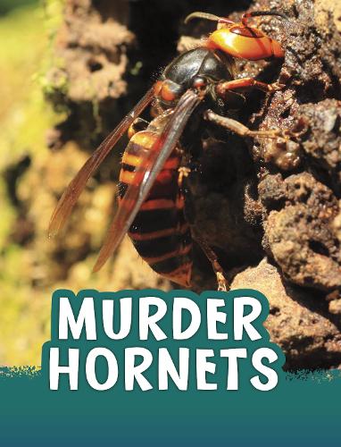 Паперова книга «Murder Hornets», автор Жаклін Джейкокс - фото №1