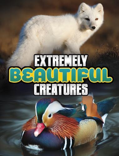 Паперова книга «Extremely Beautiful Creatures», автор Меган Кулі Петерсон - фото №1