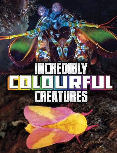 Паперова книга «Incredibly Colourful Creatures», автор Меган Кулі Петерсон - фото №1