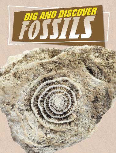 Бумажная книга «Dig and Discover Fossils», автор Анита Нахта Амин - фото №1