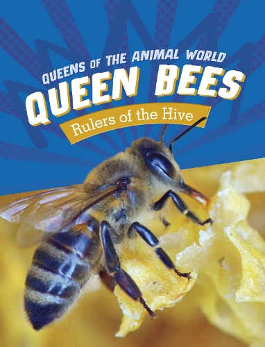 Бумажная книга «Queen Bees: Rulers of the Hive», автор Майвбун Санг - фото №1
