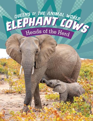 Бумажная книга «Elephant Cows: Heads of the Herd», автор Майвбун Санг - фото №1