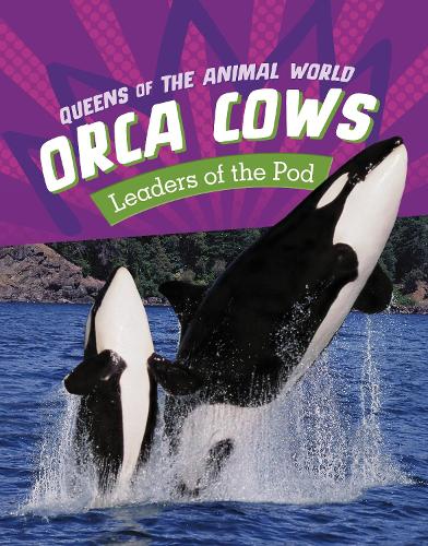 Бумажная книга «Orca Cows: Leaders of the Pod», автор Жаклин Джейкокс - фото №1