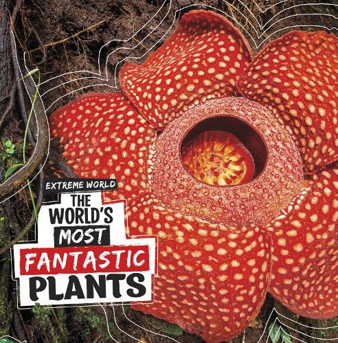 Бумажная книга «The World's Most Fantastic Plants», автор Кари Майстер - фото №1