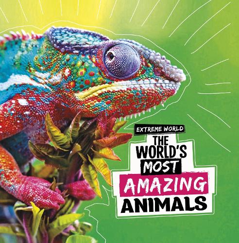Бумажная книга «The World's Most Amazing Animals», автор Кари Майстер - фото №1