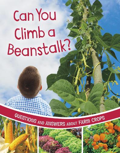 Паперова книга «Can You Climb a Beanstalk?: Questions and Answers About Farm Crops», автор Кетрін Роусон - фото №1