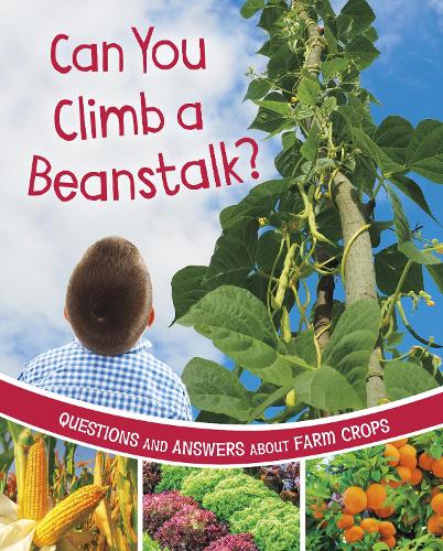 Бумажная книга «Can You Climb a Beanstalk?: Questions and Answers About Farm Crops», автор Кэтрин Роусон - фото №1