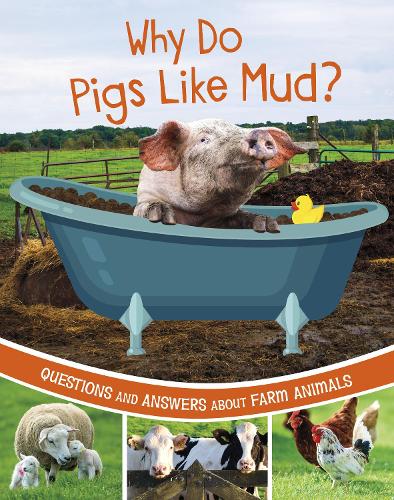 Паперова книга «Why Do Pigs Like Mud?: Questions and Answers About Farm Animals», автор Кетрін Роусон - фото №1