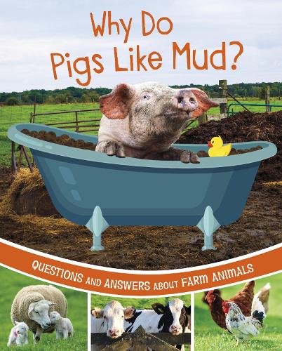 Бумажная книга «Why Do Pigs Like Mud?: Questions and Answers About Farm Animals», автор Кэтрин Роусон - фото №1