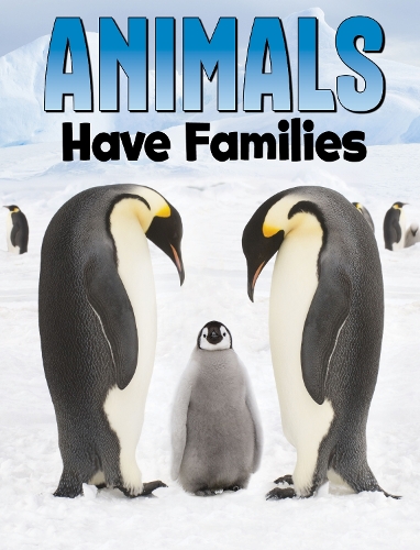 Бумажная книга «Animals Have Families», автор Надя Али - фото №1