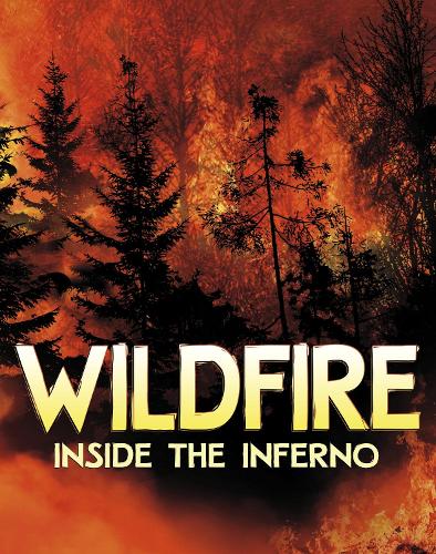 Бумажная книга «Wildfire, Inside the Inferno», автор Жаклин Джейкокс - фото №1