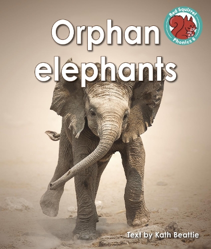 Бумажная книга «Orphan elephants», автор Кэт Битти - фото №1