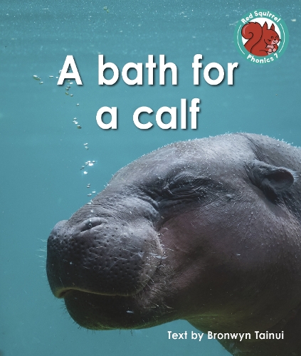 Бумажная книга «A bath for a calf», автор Бронвин Тайнуи - фото №1