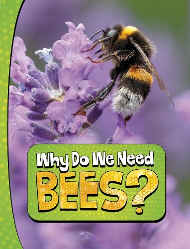 Паперова книга «Why Do We Need Bees?», автор Лаура К. Мюррей - фото №1