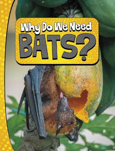 Паперова книга «Why Do We Need Bats?», автор Лаура К. Мюррей - фото №1