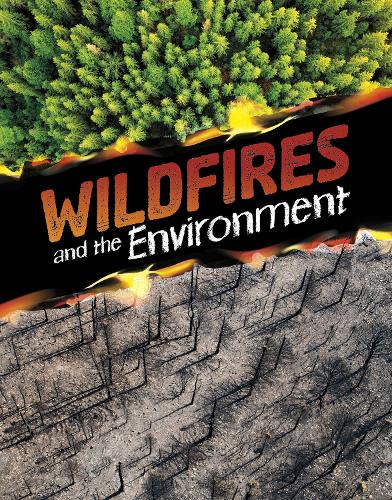 Паперова книга «Wildfires and the Environment», автор Марсія Амідон Ластед - фото №1