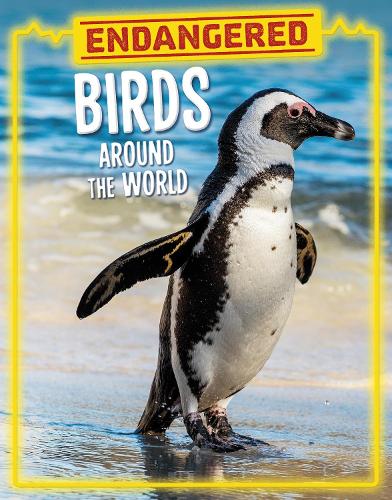 Бумажная книга «Endangered Birds Around the World», автор Лиза Дж. Амстутц - фото №1