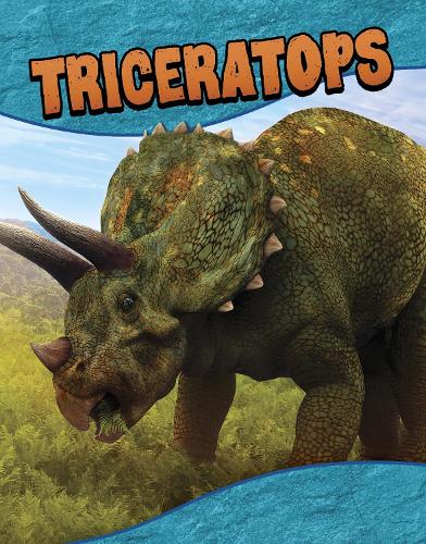Бумажная книга «Triceratops», автор Лаура К. Мюррей - фото №1