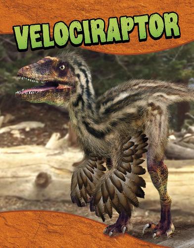 Бумажная книга «Velociraptor», автор Лаура К. Мюррей - фото №1
