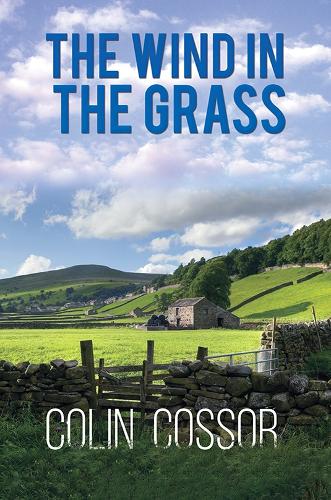 Бумажная книга «The Wind in the Grass», автор Колин Коссор - фото №1