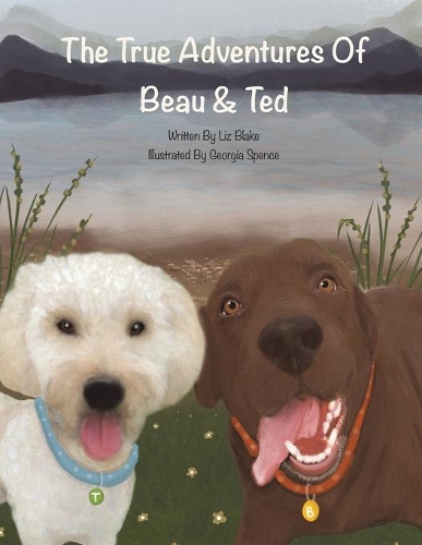 Бумажная книга «The True Adventures of Beau and Ted», автор Лиз Блейк - фото №1