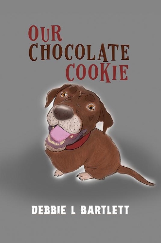Бумажная книга «Our Chocolate Cookie», автор Дебби Л Бартлетт - фото №1