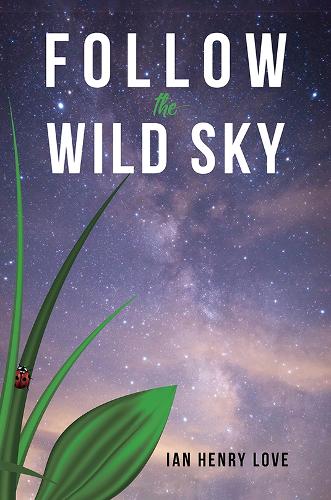 Бумажная книга «Follow The Wild Sky», автор Ян Генри Лав - фото №1