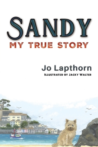 Бумажная книга «Sandy: My True Story», автор Джо Лапторн - фото №1