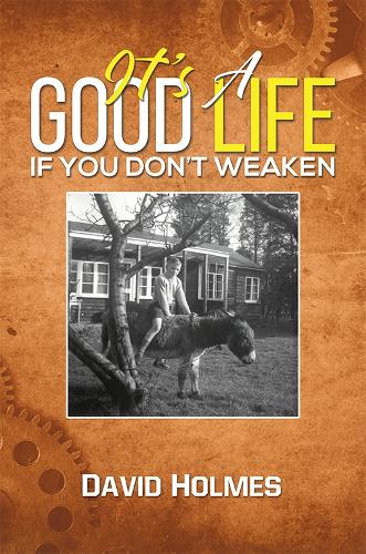 Бумажная книга «It's a Good Life If You Don't Weaken», автор Дэвид Холмс - фото №1