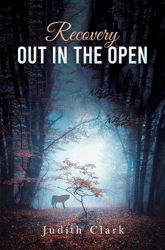 Бумажная книга «Recovery: Out in the Open», автор Джудит Кларк - фото №1