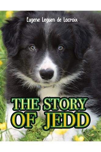 Бумажная книга «The Story of Jedd», автор Эжен Леген де Лакруа - фото №1
