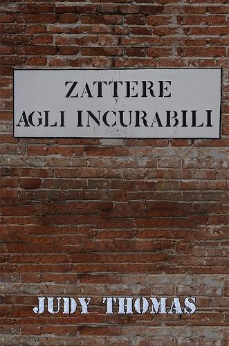 Бумажная книга «Zattere Agli Incurabili», автор Джуди Томас - фото №1