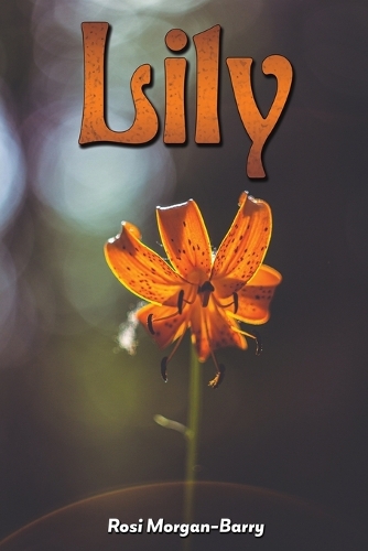 Бумажная книга «Lily», автор Рози Морган-Барри - фото №1