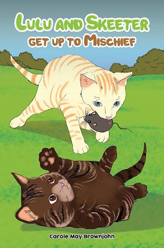 Паперова книга «Lulu and Skeeter get up to Mischief», автор Керол Мей Браунджон - фото №1
