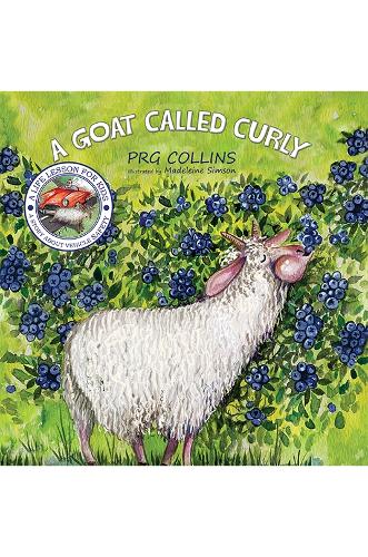 Бумажная книга «A Goat Called Curly», автор PRG Collins - фото №1