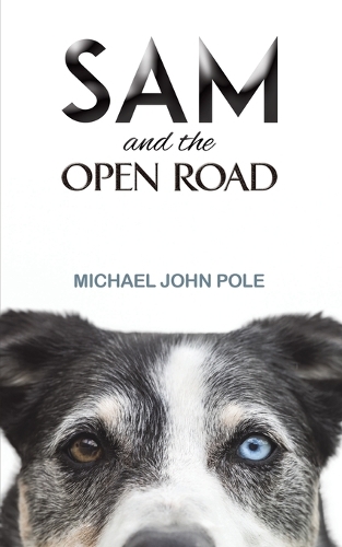 Бумажная книга «Sam and the Open Road», автор Майкл Джон Поул - фото №1