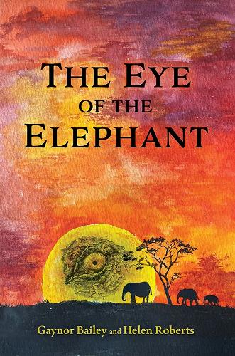 Бумажная книга «The Eye of the Elephant:  And What Do You See?», авторов Гейнор Бейли, Хелен Робертс - фото №1
