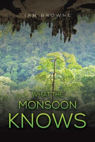 Бумажная книга «What the Monsoon Knows», автор Ян Браун - фото №1