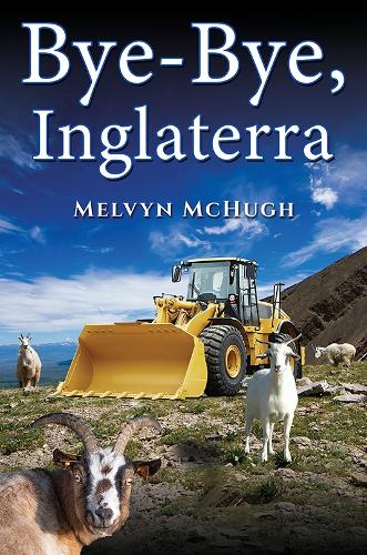Бумажная книга «Bye-Bye, Inglaterra», автор Мелвин Макхью - фото №1