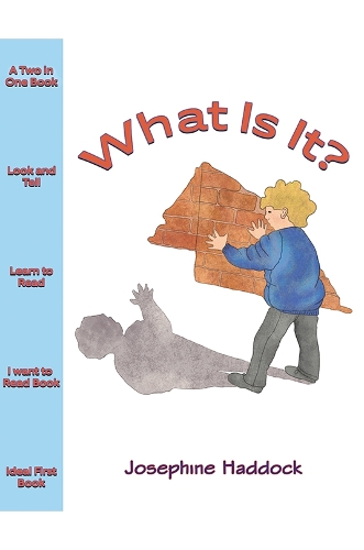 Бумажная книга «What Is It?», автор Джозефина Хаддок - фото №1