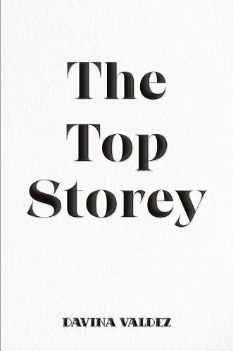 Паперова книга «The Top Storey», автор Давіна Вальдес - фото №1