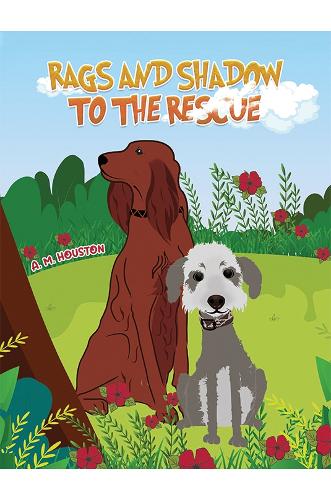 Паперова книга «Rags and Shadow to the Rescue», автор А. М. Х'юстон - фото №1