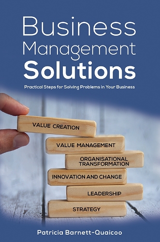 Бумажная книга «Business Management Solutions: Practical Steps for Solving Problems in Your Business», автор Патриция Барнетт-Куайку - фото №1
